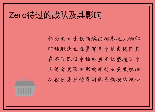 Zero待过的战队及其影响