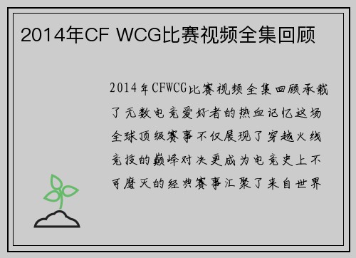2014年CF WCG比赛视频全集回顾