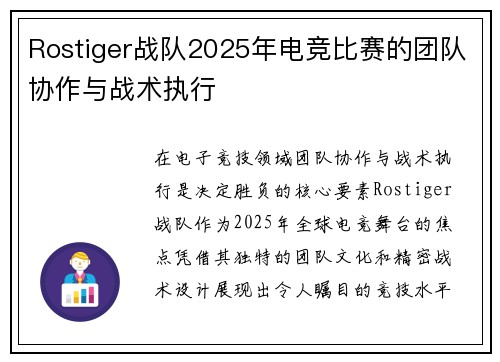 Rostiger战队2025年电竞比赛的团队协作与战术执行