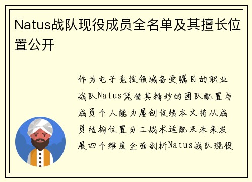 Natus战队现役成员全名单及其擅长位置公开