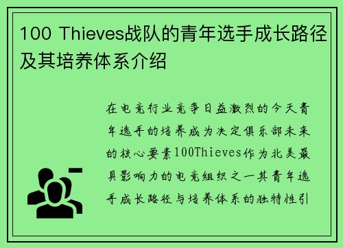 100 Thieves战队的青年选手成长路径及其培养体系介绍
