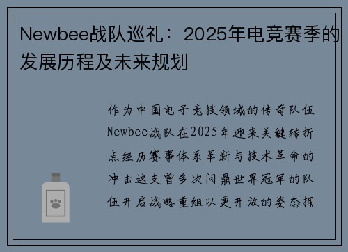 Newbee战队巡礼:2025年电竞赛季的发展历程及未来规划